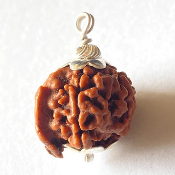 Ganesh Rudraksha – For Wisdom, Success & Obstacle Removal
